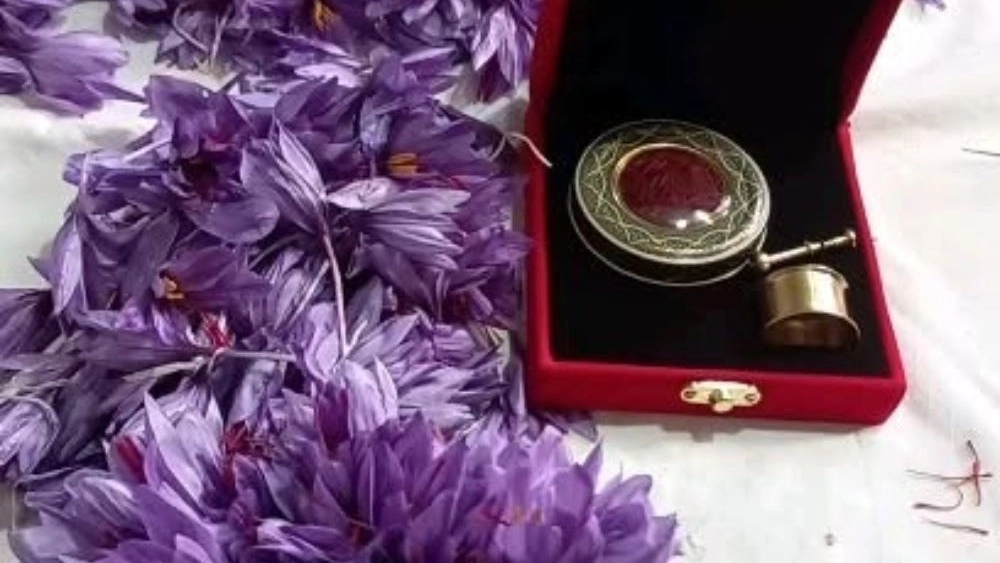 خرید زعفران و زرشک اصل بیرجند با کیفیت صادراتی از خشکبار نوزاد