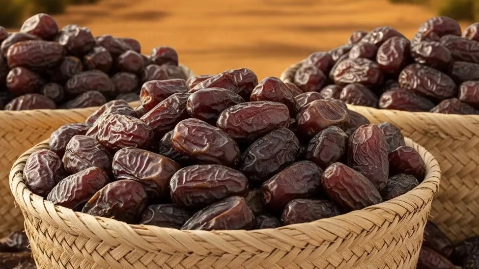 راهنمای جامع خرید عمده خرما مضافتی مستقیم از بم