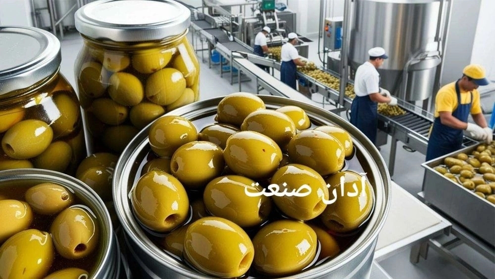 راه‌اندازی خط تولید کنسرو زیتون: آموزش، تجهیزات و نکات کلیدی موفقیت