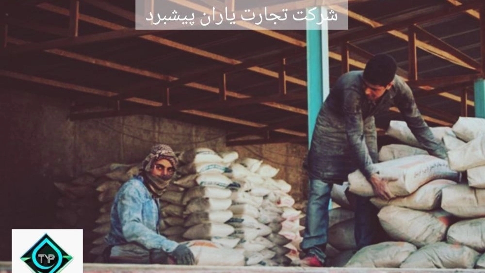 راهنمای جامع خرید بهترین سیمان تیپ دو با قیمت استثنایی در بازار ایران