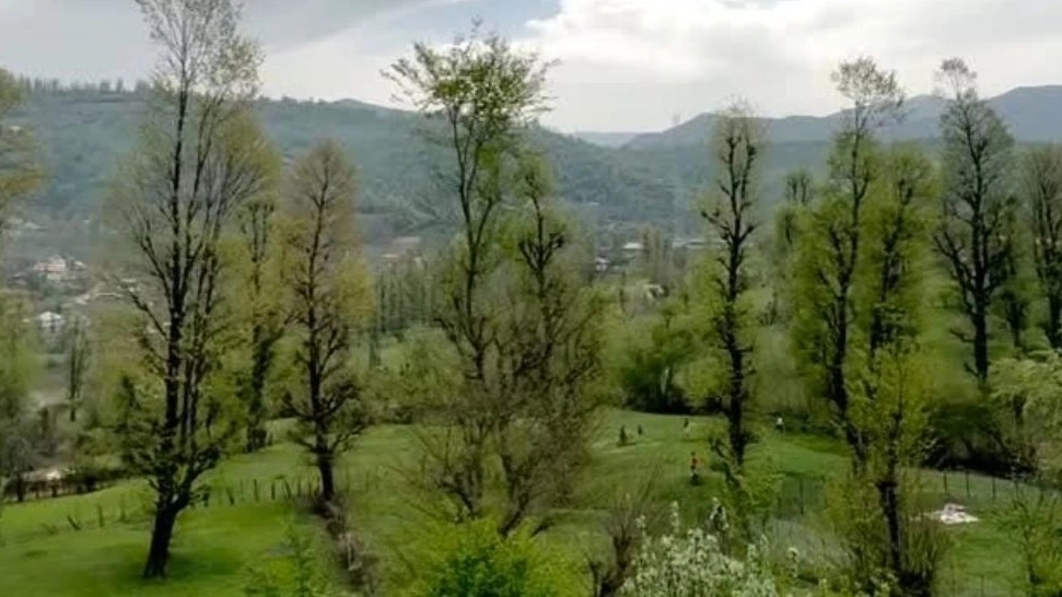 رزرو کلبه جنگلی در  اقامتگاه آپادانا