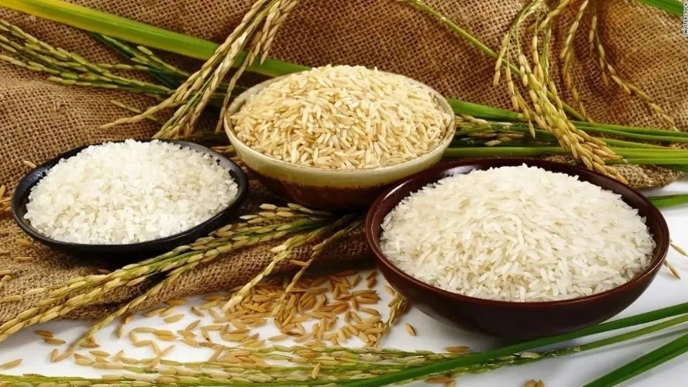 فروش عمده برنج شمال در فروشگاه رستمی