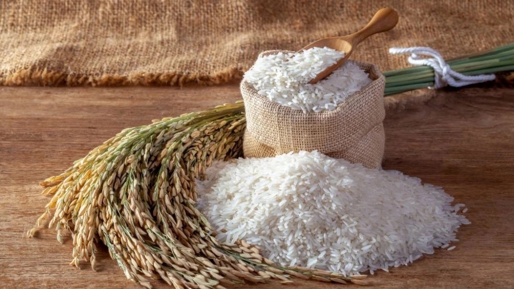 خرید برنج محلی عطری