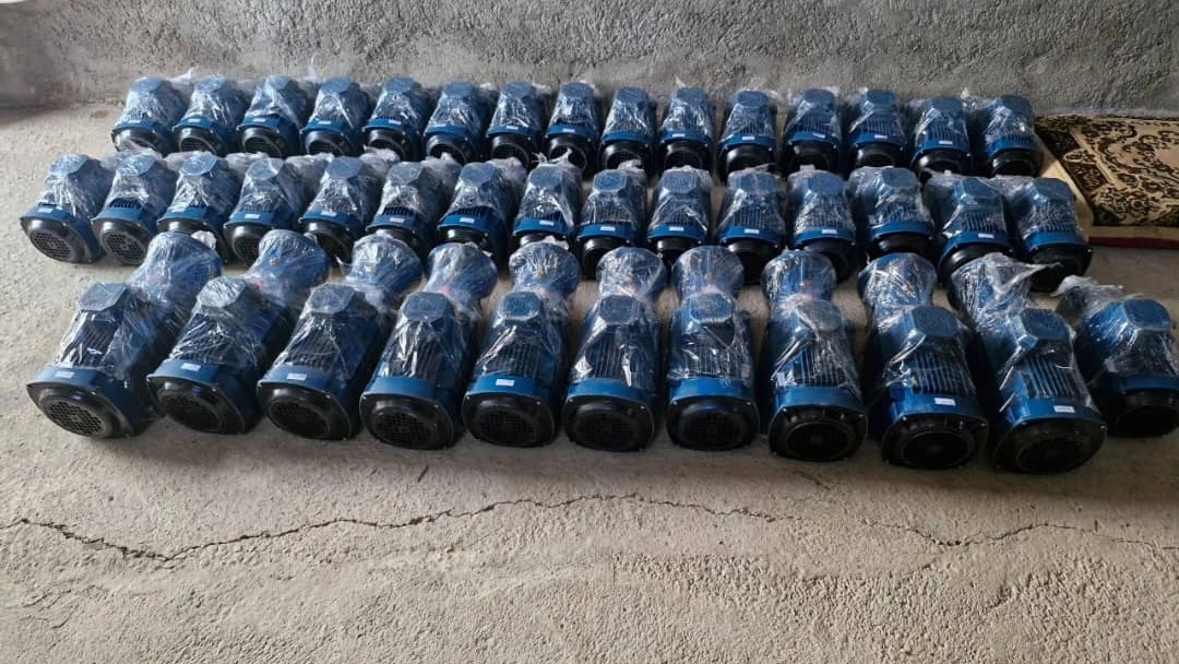 جوجه طلایی سرخوش