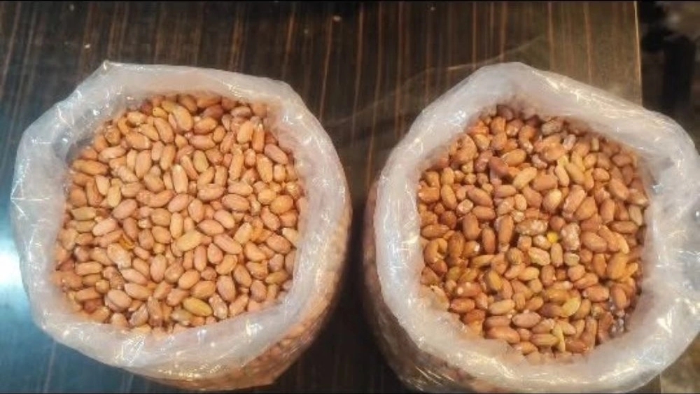 فروشگاه مقدس نژاد، فروش بادام زمینی و فندق در آستانه اشرفیه