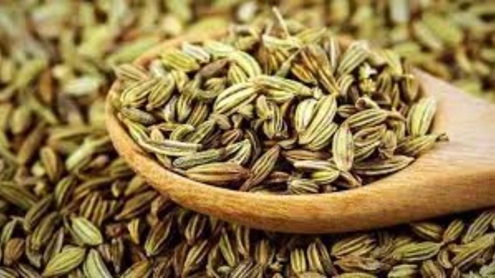 فروش زیره سبز تازه و تمیز در فروشگاه محصولات گیاهی بهادر