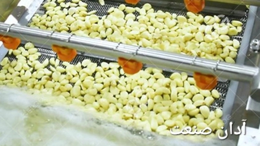 طراحی و ساخت نوار سیر و فلفل برای خط تولید شوریجات