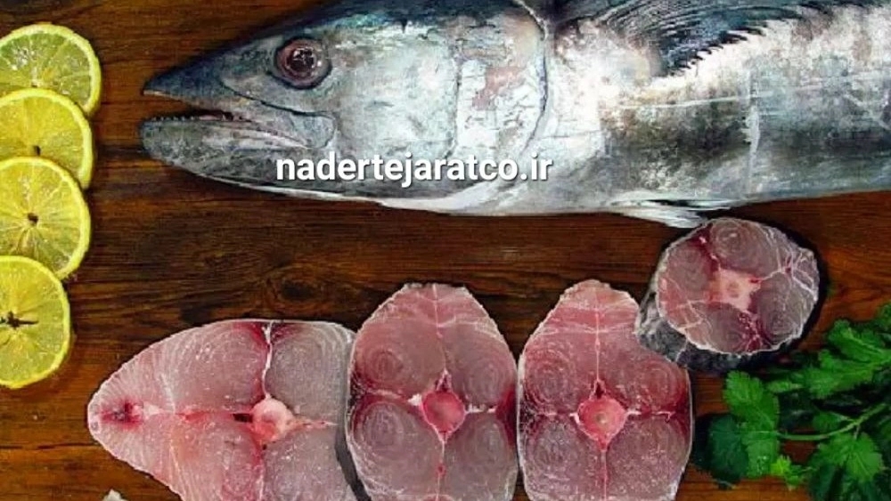 قیمت خرید و فروش ماهی شیر تازه صادراتی: عوامل تأثیرگذار و راهنمای خرید با کیفیت