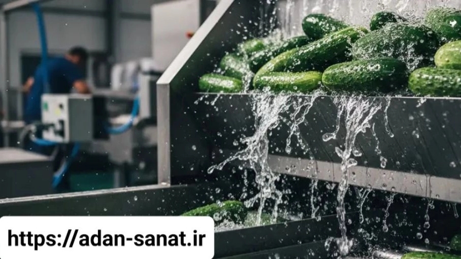 اصول ایمنی و بهداشت در خط تولید خیارشور صنعتی برای افزایش بهره‌وری و سلامت کارکنان