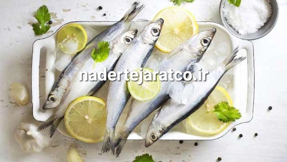 قیمت خرید و فروش کنسرو ماهی ساردین صادراتی در بازار