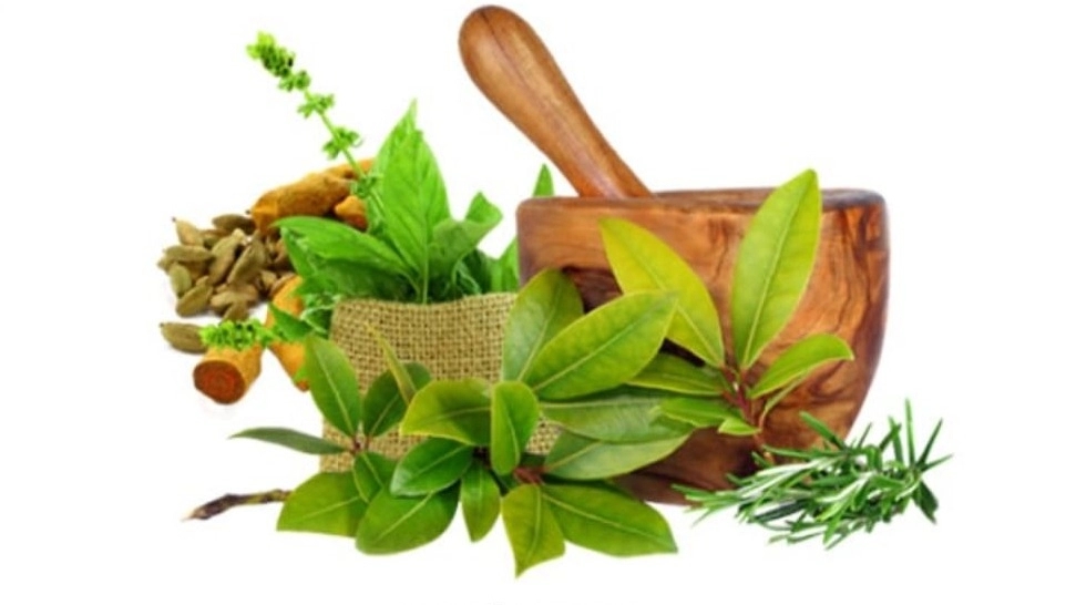 عطاری نبات، فروش گیاهان دارویی و ارگانیک در رشت