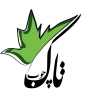 کارگاه تاک چوب، آموزش نجاری بانوان در تهران