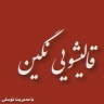 قالیشویی نگین، شستشوی فرش موکت گلیم پتو پرده و فرش دستباف در همدان