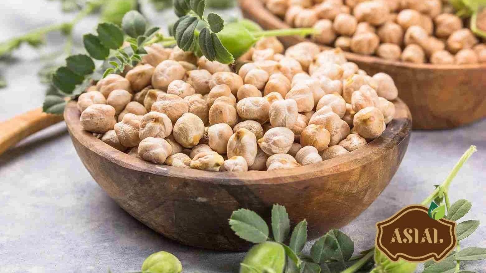 خرید بذر نخود مرغوب زراعی و اصلاح‌شده | قیمت روز و ارسال سراسر کشور