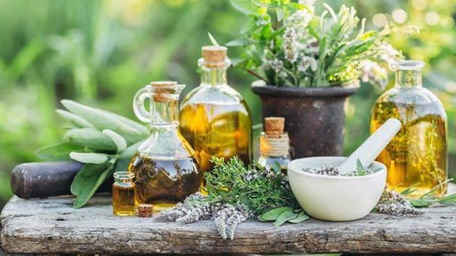 عطاری ابن سینا، فروش انواع دارو گیاهی ادویه جات و عرقیجات در سبزوار