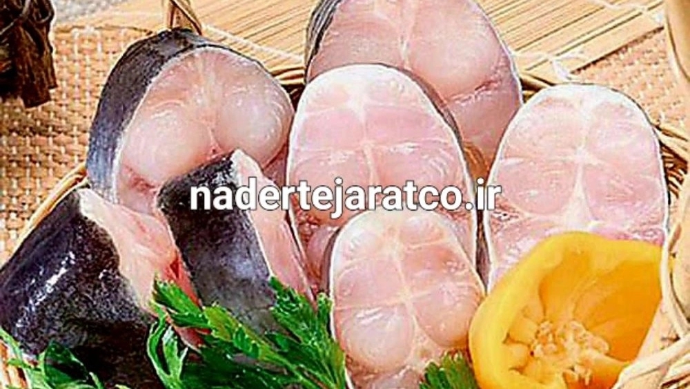 قیمت خرید و فروش ماهی ازون برون صادراتی