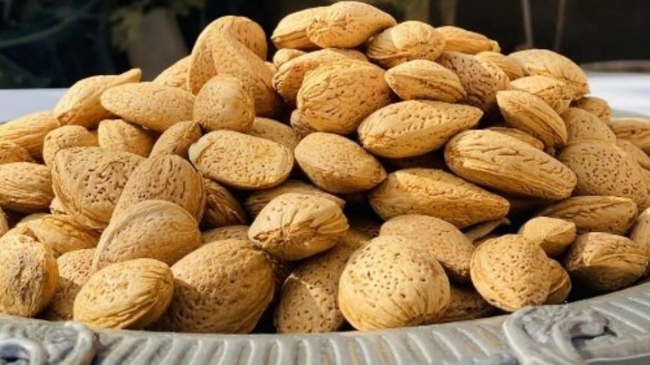 خشکبار اسفندیاری، فروش آجیل زعفران و کشمش در کاشمر