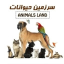 فروشگاه سرزمین حیوانات، فروش لوازم و تجهیزات حیوانات خانگی و پرنده در قزوین