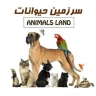 فروشگاه سرزمین حیوانات، فروش لوازم و تجهیزات حیوانات خانگی و پرنده در قزوین