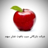 بازرگانی سیب یاقوت نشان سهند، صادرات عمده سیب در مراغه آذربایجان شرقی