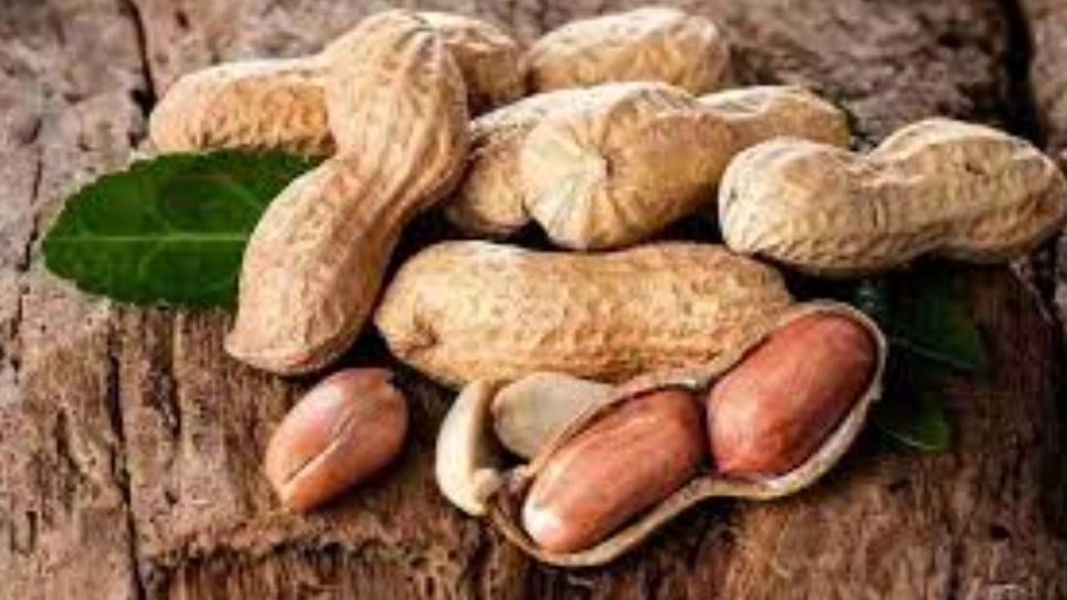 بادام پورعباس، تولید پخش بادام زمینی چای و خشکبار در آستانه اشرفیه