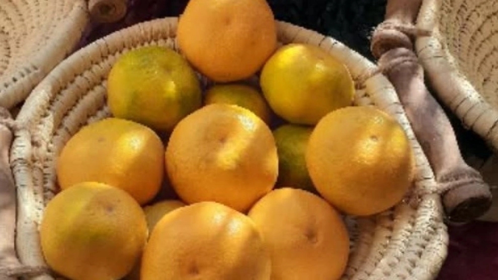 حصیر گل‌ اَبرو، تولید و فر‌وش انواع گلدان لوستر و آباژور در قائم شهر