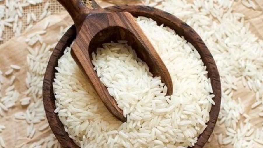 فروش برنج صدری گیلان با کیفیت عالی