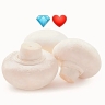 دهکده قارچ رجبی، خرید فروش انواع قارچ در کاشمر