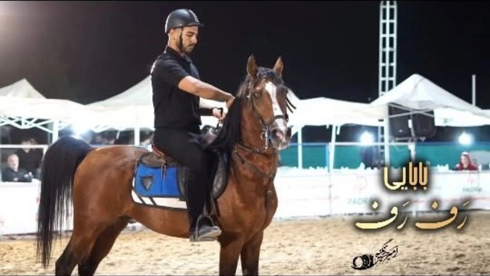 مزرعه پرورش اسب شیهه، تولید و پرورش انواع اسب در کرمانشاه