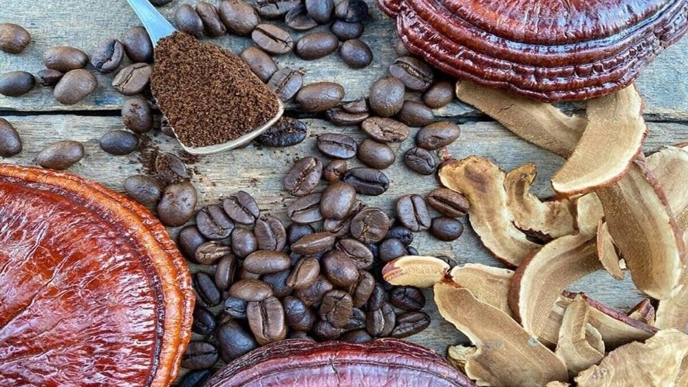 فروشگاه کافه سلامت، فروش قهوه گانودرما غلات و دمنوش سبوس برنج در تهران