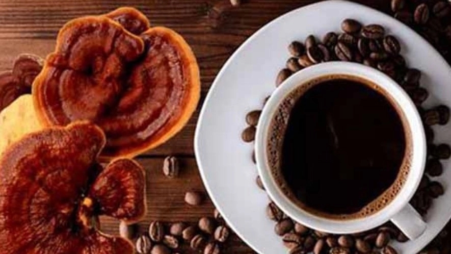 خرید آنلاین قهوه گانودرما اصل در تهران