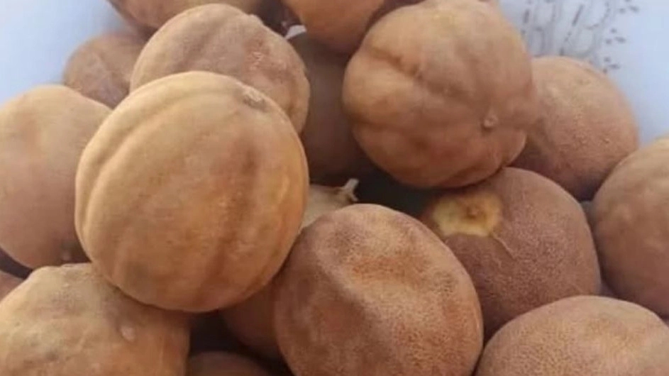 عطاری ایران زمین خانلو، فروش و پخش ادویه جات و گیاهان دارویی در همدان
