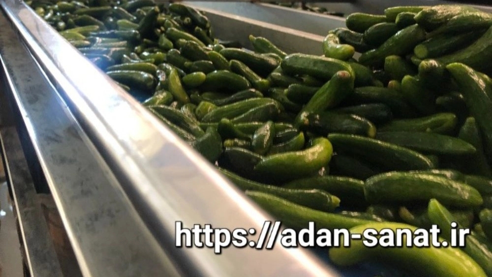 راهنمای جامع ساخت و فروش نوار پرکن خیار برای خط تولید صنعتی شیراز
