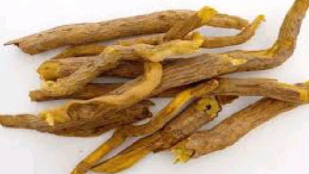 خواص درمانی ریشه زرشک سیاه