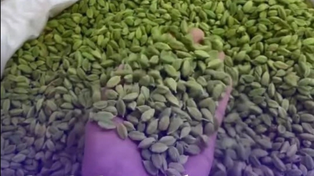 مرکز پخش ادویه برای عطاری ها در بجنورد و اطراف