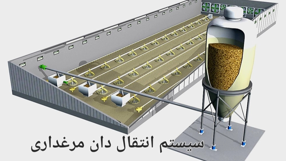 فروش صادراتی و انتقال خط دان مرغ درای تمام اتوماتیک در تبریز