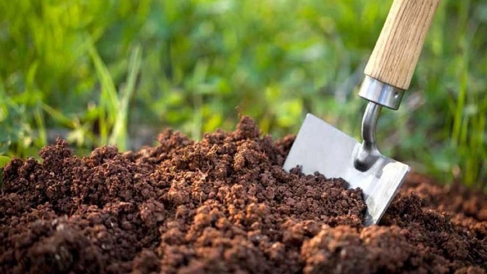 قیمت کود بیولوژیک در لامرد