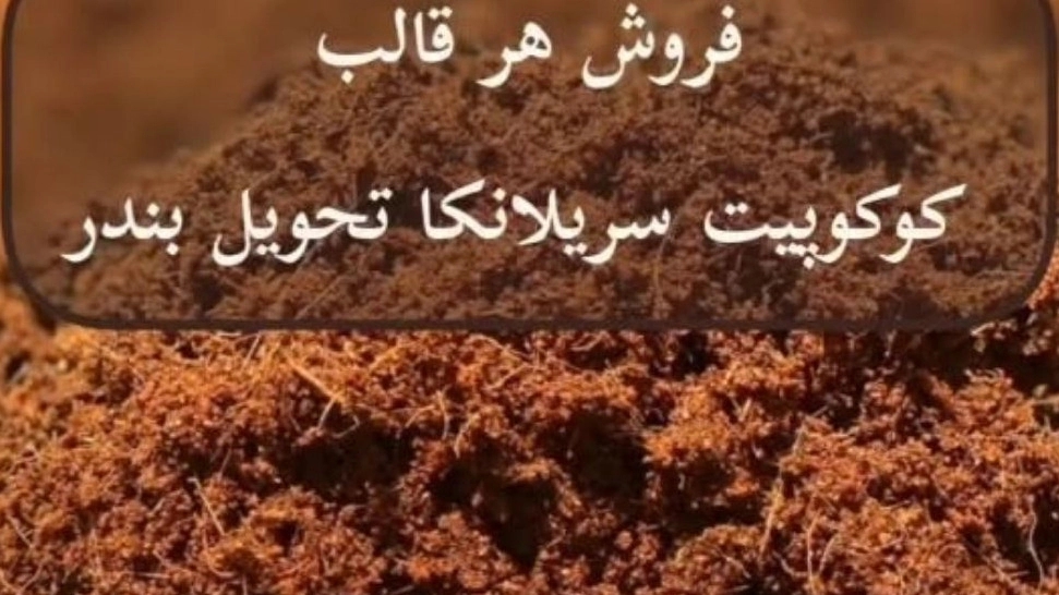 شرکت نیدشت کوکوپیت، وارد کننده مستقیم کوکوپیت از سریلانکا