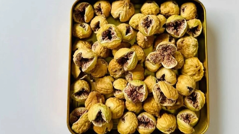 خرید محصولات غذایی ارگانیک سالم در بندرلنگه