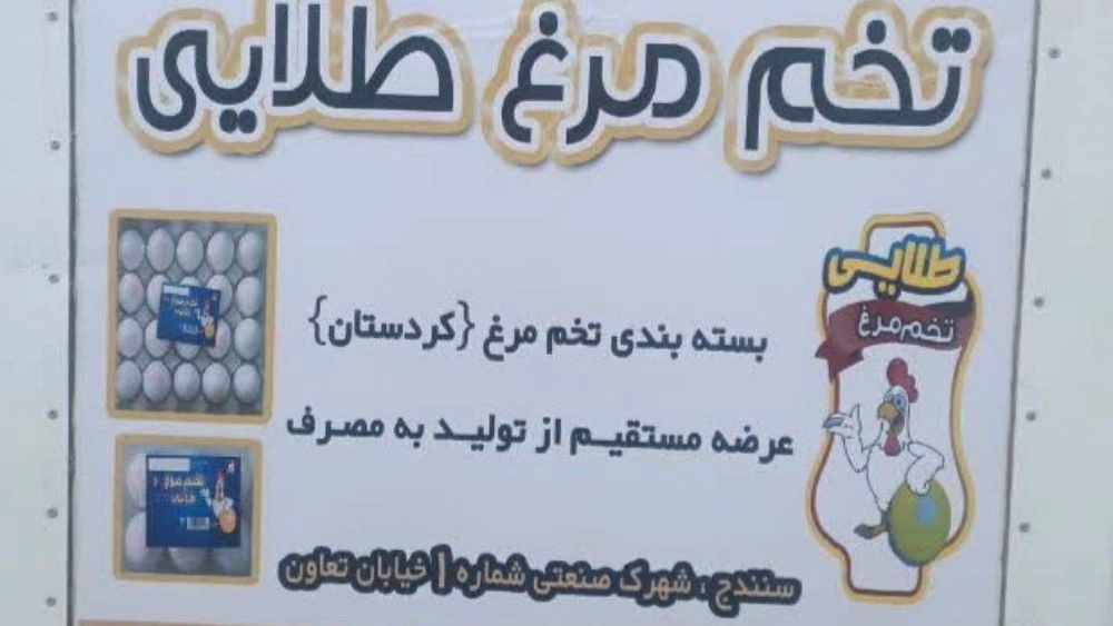 بسته بندی تخم مرغ طلایی، تولید و پخش تخم مرغ در سنندج