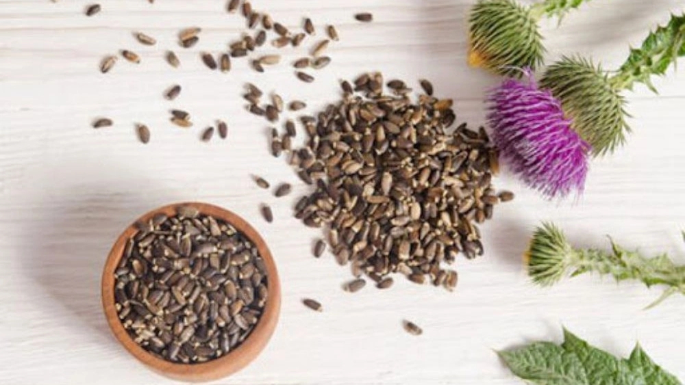 آنلاین شاپ پاکی صارمی، فروش محصولات و خدمات ترک مواد مخدر در تهران