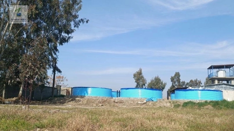 سرمایهگذاری در پرورش ماهی؛ چه زمانی اصلاح یا ساخت استخر نانوتکنولوژی توجیه اقتصادی دارد؟