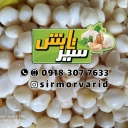 فروشگاه سیر مروارید تابش، فروش و پخش سیر خلال و پودر سیر در همدان