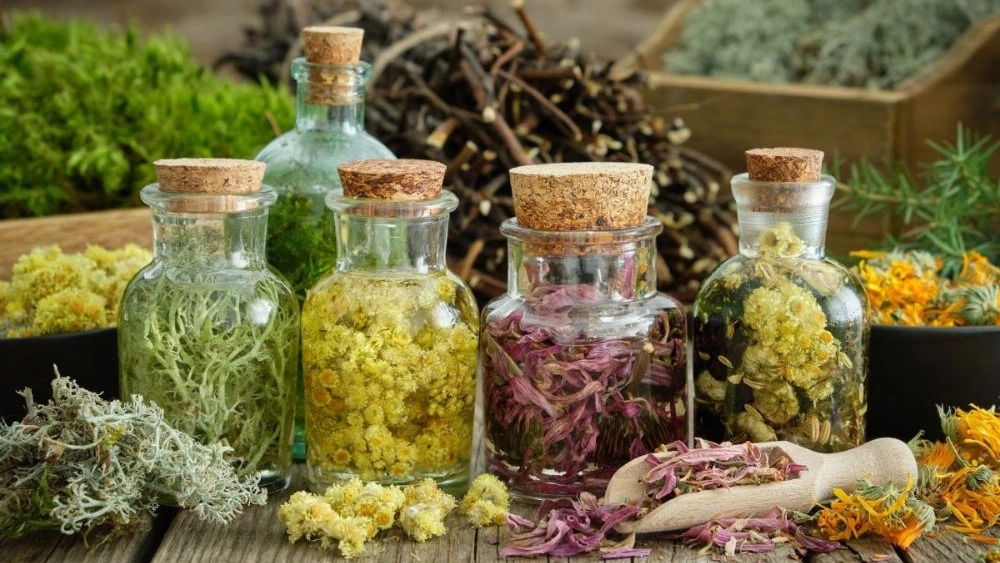 فروش انواع گیاهان دارویی در زاهدان