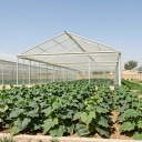 گلخانه سازی رضایی، نصب انواع سازه گلخانه ای خیار و گل آپارتمانی در مازندران