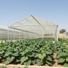 گلخانه سازی رضایی، نصب انواع سازه گلخانه ای خیار و گل آپارتمانی در مازندران