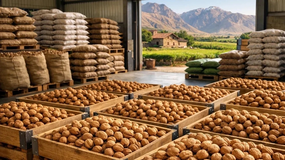 بهترین مرکز پخش مغز گردو در زنجان