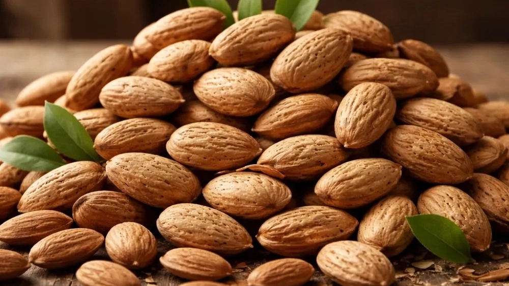فروش بادام صادراتی در شاهرود