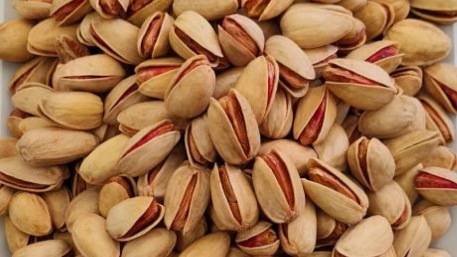 خرید پسته عمده در کرمان