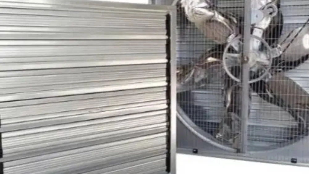 نصب صفر تا صد سيستم تهويه استاندارد گلخانه در کرج